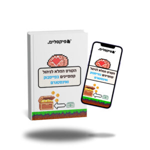 קורס ניהול קמפיינים